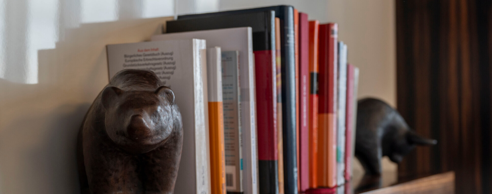 Shelf with selected books